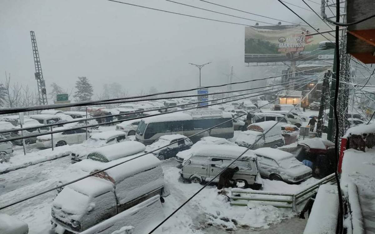 news-1641614675-4852